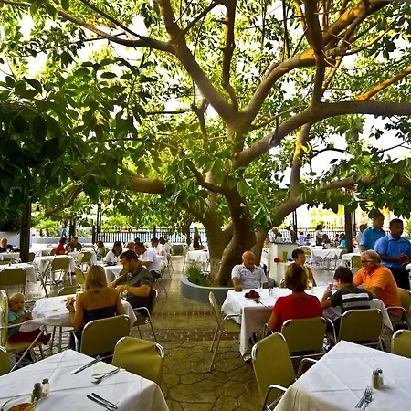 Sun Palace & Feriested 4*